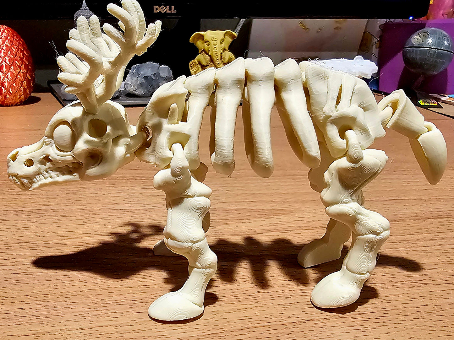 Skeleton Reindeer