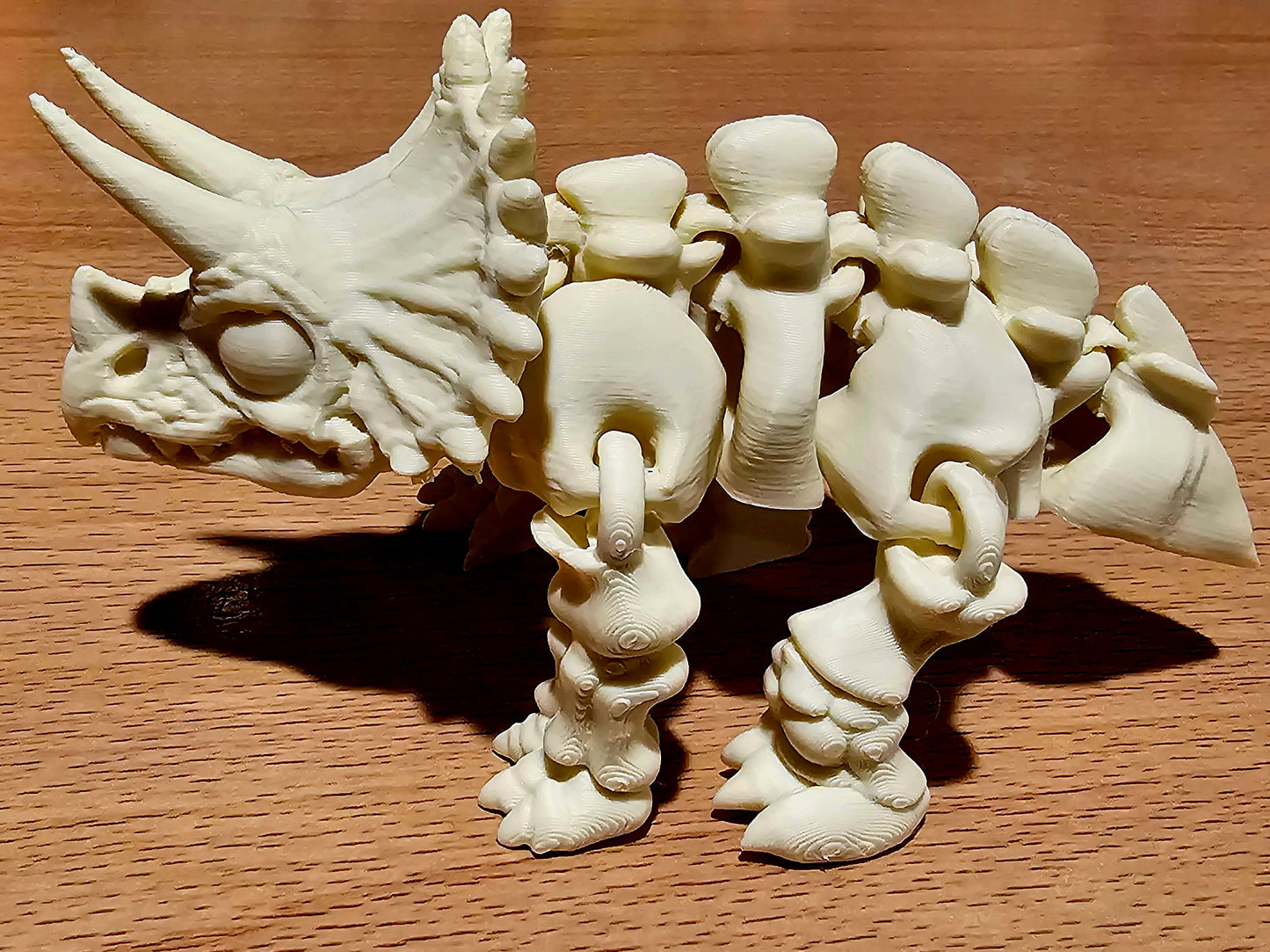 Skeleton Triceratops