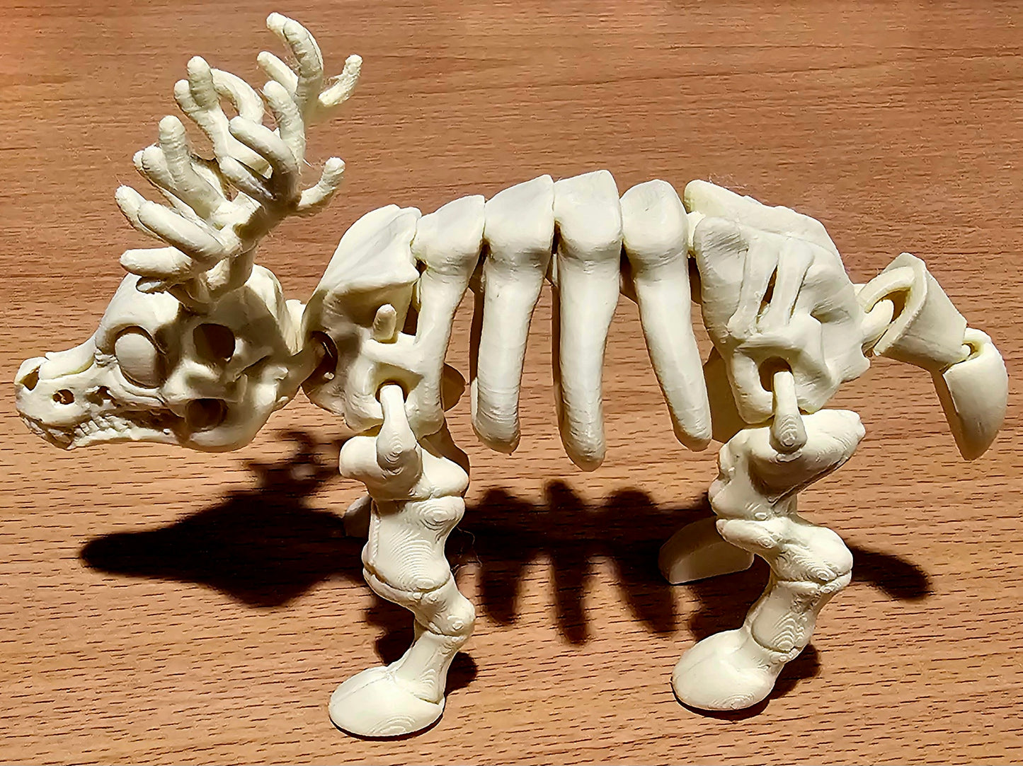 Skeleton Reindeer