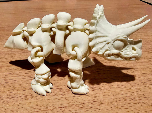 Skeleton Triceratops