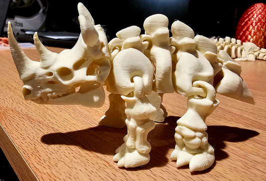 Skeleton Rhino